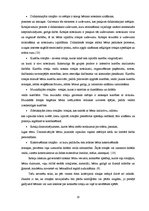 Referāts 'Sīkās pirkstu muskulatūras attīstība rakstītprasmes apguvei pirmsskolā', 20.