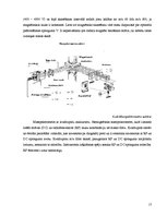 Referāts '2-[Dimetil(3-morfolīnopropil)silil]-5-trietilgermilfurāna sintēze un struktūras ', 17.