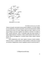 Referāts '2-[Dimetil(3-morfolīnopropil)silil]-5-trietilgermilfurāna sintēze un struktūras ', 20.