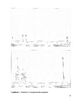 Referāts '2-[Dimetil(3-morfolīnopropil)silil]-5-trietilgermilfurāna sintēze un struktūras ', 28.