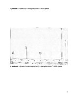 Referāts '2-[Dimetil(3-morfolīnopropil)silil]-5-trietilgermilfurāna sintēze un struktūras ', 31.