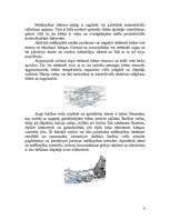 Referāts 'Meža ainavas dizains ūdeņu tuvumā', 4.