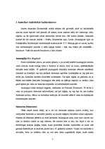 Referāts 'Idealizētās amerikāņu kultūras', 3.