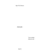 Biznesa plāns '"Aktīvs-Plus" biznesa plāns', 1.