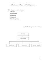 Biznesa plāns '"Aktīvs-Plus" biznesa plāns', 8.