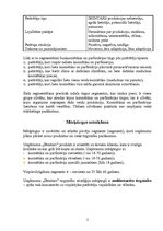 Referāts 'Uzņēmuma "Dzintars" konkurences analīze', 3.