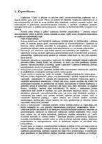 Biznesa plāns 'Interneta veikals SIA "Cibos"', 3.