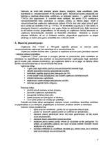 Biznesa plāns 'Interneta veikals SIA "Cibos"', 4.