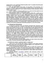 Biznesa plāns 'Interneta veikals SIA "Cibos"', 7.