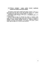 Biznesa plāns 'Interneta veikals SIA "Cibos"', 18.