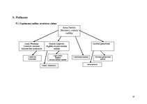 Biznesa plāns 'Interneta veikals SIA "Cibos"', 19.