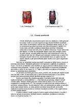 Diplomdarbs 'Snovborda krišanas tehnikas pilnveidošana', 14.