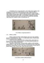 Diplomdarbs 'Snovborda krišanas tehnikas pilnveidošana', 19.