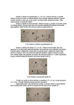 Diplomdarbs 'Snovborda krišanas tehnikas pilnveidošana', 20.