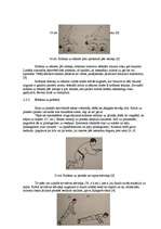 Diplomdarbs 'Snovborda krišanas tehnikas pilnveidošana', 21.