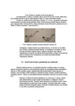 Diplomdarbs 'Snovborda krišanas tehnikas pilnveidošana', 22.