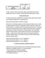 Prakses atskaite 'Prakses atskaite par uzņēmumu', 7.