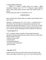 Prakses atskaite 'Prakses atskaite par uzņēmumu', 9.