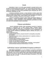 Konspekts 'Ceļojumu apdrošināšana Lielbritānijā', 2.