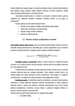 Referāts 'Finanšu analīze SIA "Taste Cap"', 4.