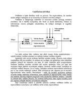 Referāts 'Skolas vadītājs', 2.