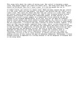 Eseja 'Gun Control - Against (Con)', 1.