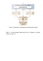 Prakses atskaite 'Prakses atskaite finanšu grāmatvedībā SIA "XXX"', 17.
