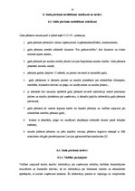 Prakses atskaite 'Prakses atskaite finanšu grāmatvedībā SIA "XXX"', 33.