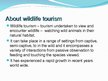 Prezentācija 'The Wildlife Tourism', 3.