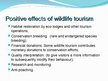 Prezentācija 'The Wildlife Tourism', 8.