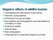 Prezentācija 'The Wildlife Tourism', 9.