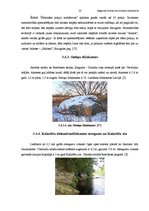 Referāts 'Tūrisms Ķeguma novadā', 23.