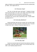 Referāts 'Tūrisms Ķeguma novadā', 28.