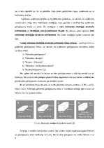 Referāts 'Cenu veidošanas stratēģijas uzņēmumā SIA "Omniva"', 9.