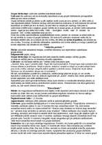 Konspekts 'Metodiskais materiāls sociālpsiholoģisko treniņu grupu vadīšanā', 13.