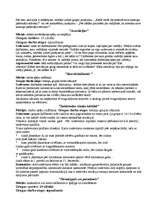 Konspekts 'Metodiskais materiāls sociālpsiholoģisko treniņu grupu vadīšanā', 25.