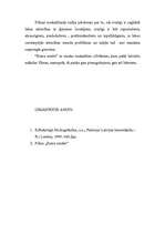 Eseja 'Recenzija par mākslas filmu "Ezera sonāte"', 5.