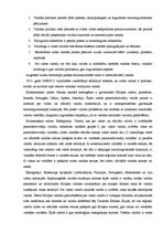 Referāts 'Valodas politika', 4.