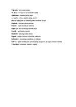 Konspekts 'Jēdzieni vēsturē no 5.-9.klasei', 4.