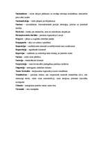 Konspekts 'Jēdzieni vēsturē no 5.-9.klasei', 6.