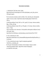 Referāts 'Arheoloģiskie pētījumi Cēsu ordeņpilī', 11.
