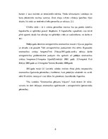 Referāts 'Personvārdu ietekme uz cilvēka raksturu', 8.