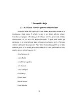 Referāts 'Personvārdu ietekme uz cilvēka raksturu', 14.