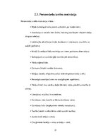 Referāts 'Personvārdu ietekme uz cilvēka raksturu', 31.