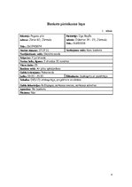 Referāts 'Kāzu bankets', 4.