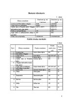 Referāts 'Kāzu bankets', 9.