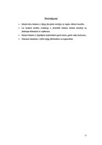 Referāts 'Kāzu bankets', 11.