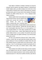 Referāts 'Indija', 19.