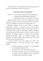 Diplomdarbs 'Būvniecības nozares attīstību ietekmējošie faktori', 9.