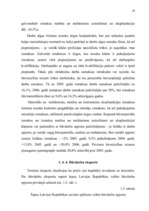 Diplomdarbs 'Būvniecības nozares attīstību ietekmējošie faktori', 29.